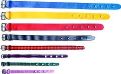 COLEIRA SIMPLES N 02 30CM CORES SORTIDAS