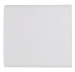 PLACA CEGA 4X4 LIZ BRANCA REF57106021