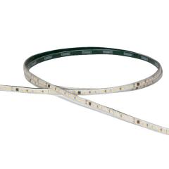 FITA LED TECHFREE 20W 240 LEDS/M 50M 127V 6500K