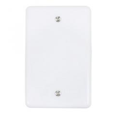 PLACA CEGA 4X2 STYLUS BRANCA REF 2054